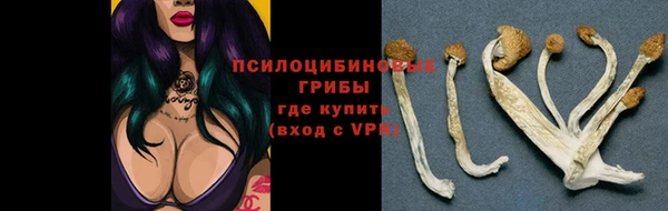 не бодяженный Абинск