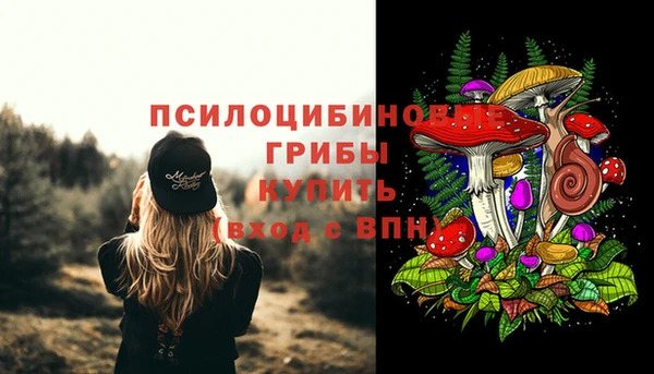 амф Абдулино