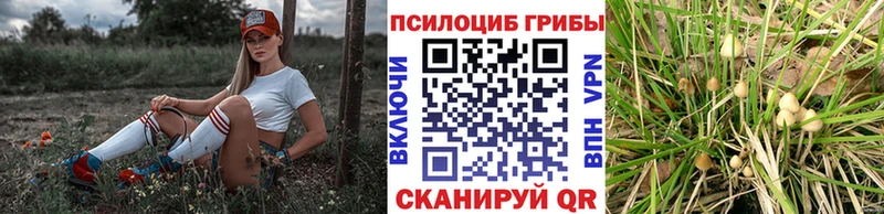 Галлюциногенные грибы Cubensis  где купить наркотик  Ртищево 